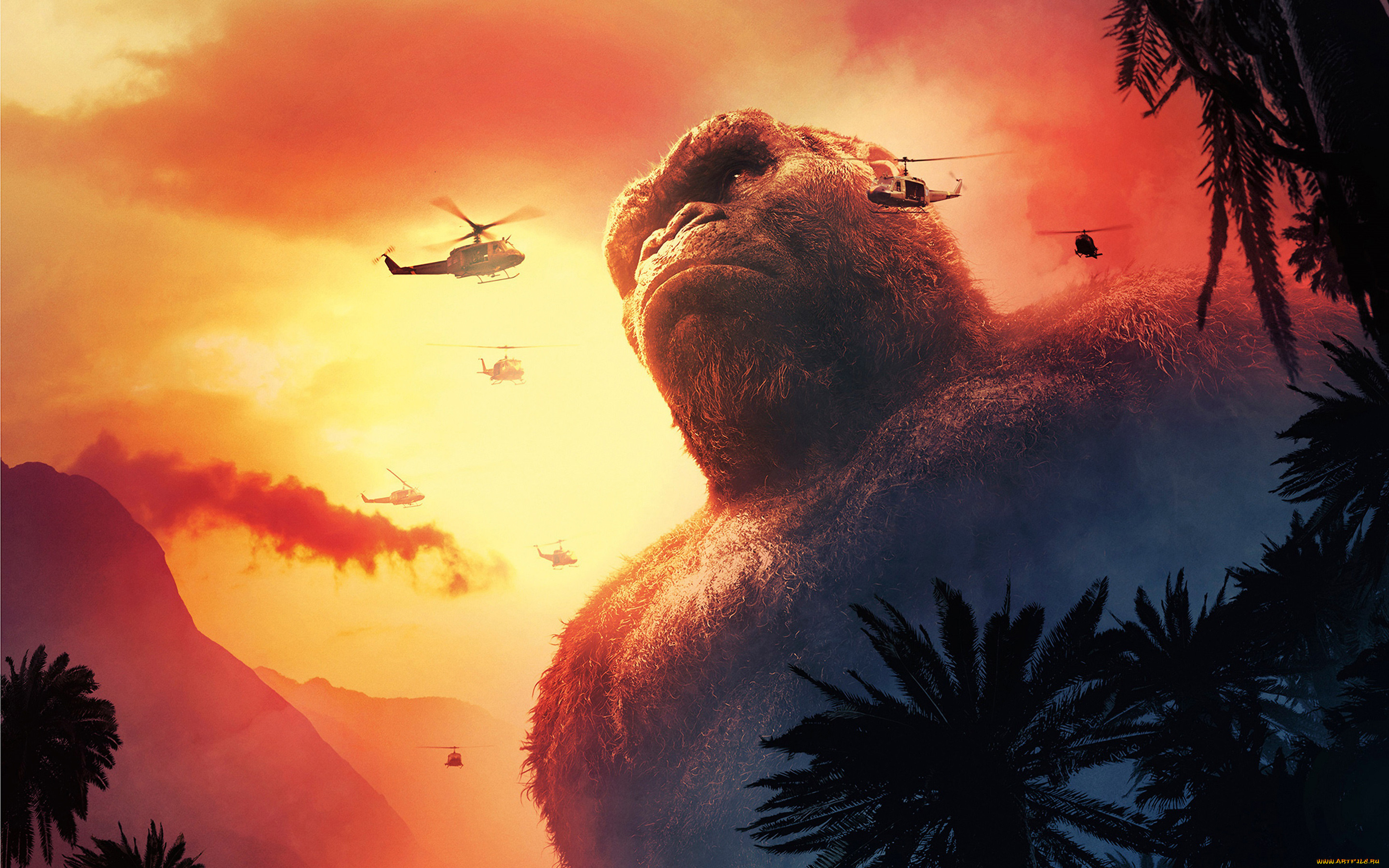  , kong,  skull island, skull, island